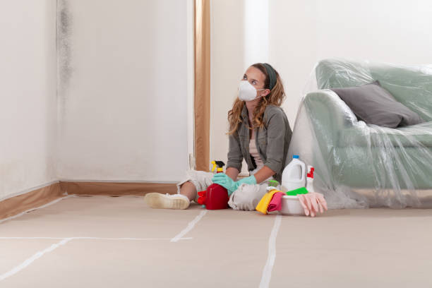 Reliable Mold Inspection And Testing contractor in Burke, VA by Car Mold Remediation