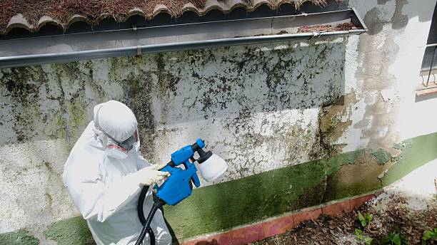Top rated local Mold Inspection And Testing specialists in Burke, VA
